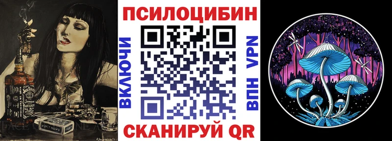 нарко площадка официальный сайт  Ершов  Галлюциногенные грибы мицелий  магазин продажи наркотиков 